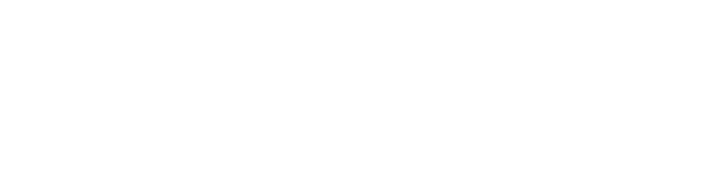 Top Accounting Firm logo